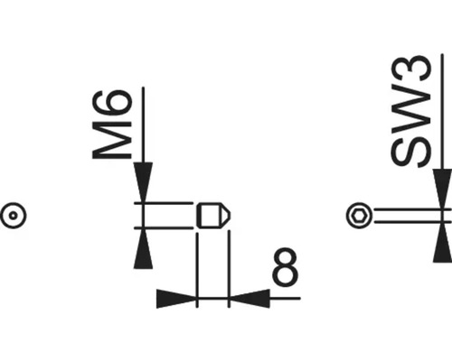 Technische tekening van een schroef met de afmetingen M6 en SW3, lengte 8
