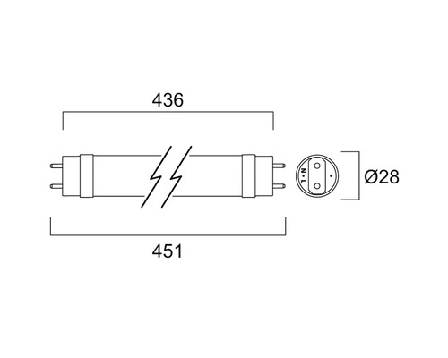 Afmetingen van een fluorescentielamp met een lengte van 436 mm en 451 mm en een diameter van 28 mm.