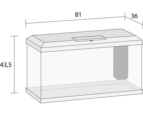 Aquarium met afmetingen 81 x 36 x 43,5 cm
