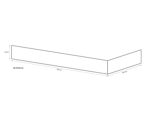 Technische tekening van een bouwelement met de afmetingen 40 x 100 x 290 millimeter