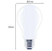 Gloeilamp met afmetingen van 67 millimeter diameter en 118 millimeter hoogte.