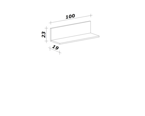 Technische tekening van een wandplank met de afmetingen 100 x 23 x 19