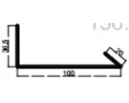 Afbeelding van een hoekprofiel met de afmetingen 31,5 mm, 100 mm en 20 mm.
