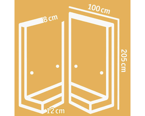 Technische tekening van een douchecabine met de afmetingen 100 cm, 205 cm, 8 cm en 12 cm.