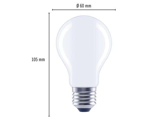 Gloeilamp met afmetingen van 60 mm diameter en 105 mm hoogte