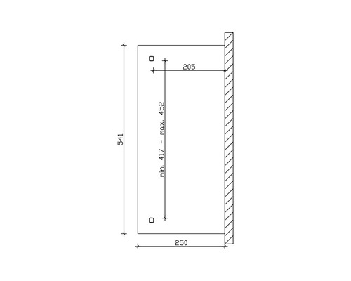 Technische tekening met maatvoering voor een product, inclusief hoogte 541, breedte 250 en diepte 205.
