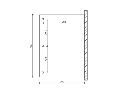 Technische tekening met de afmetingen 541, 355, 389 en 220.