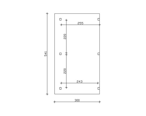 Technische tekening met maatvoering: hoogte 541, breedte 300, afstand van de boringen 220 en 255