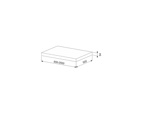 Technische tekening van een werkblad met afmetingen van 600 tot 2500, 502 en 54.