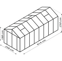 Afbeelding van het model van de kas met afmetingen: 614 cm lang, 258 cm breed en 250 cm hoog